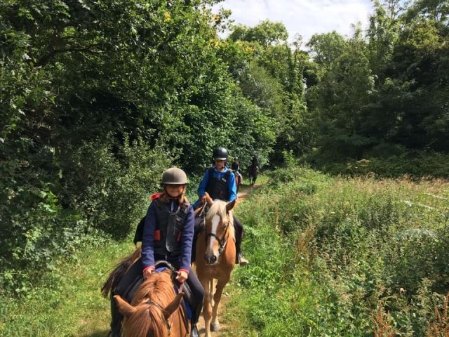  ¡Da un paseo con tu caballo solo para ti! 