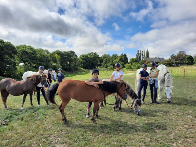  ¡Cuida al caballo mimándolo y cepillándolo!