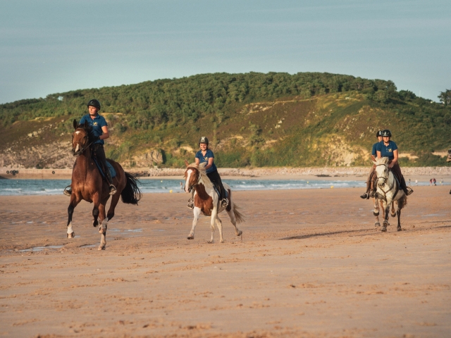 Galopez à toute vitesse sur la plage !