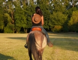 Balade à cheval pour Débutants - 1 heure - Beaune