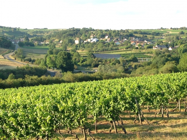  Attraverseremo campi e vigneti a cavallo 