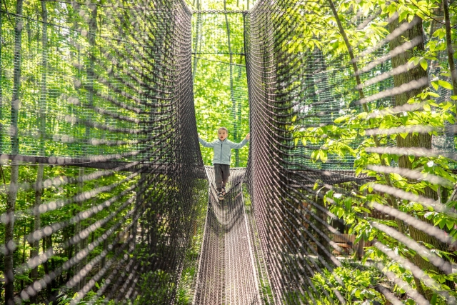  Intrattieni i tuoi avventurieri nel parco! 