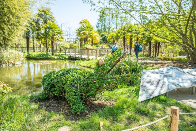  Ammira le sculture di piante 