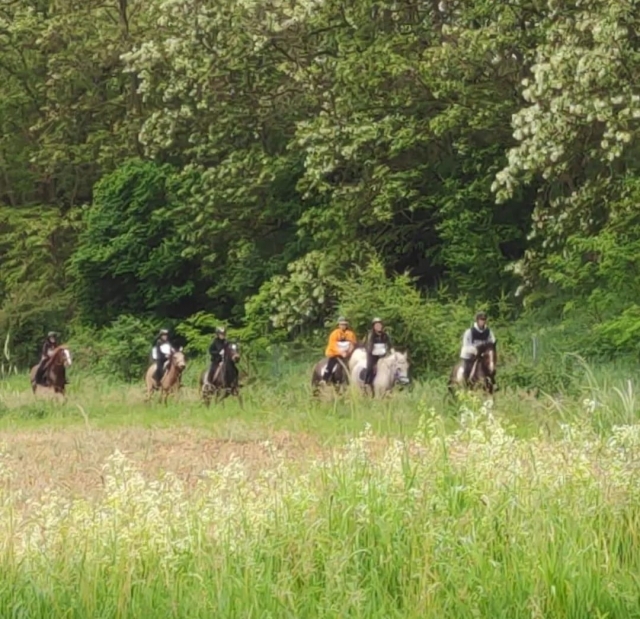  Durch die brachliegenden Felder gehen 
