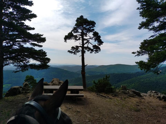  Genießen Sie die herrliche Aussicht vom Rücken Ihres Pferdes 