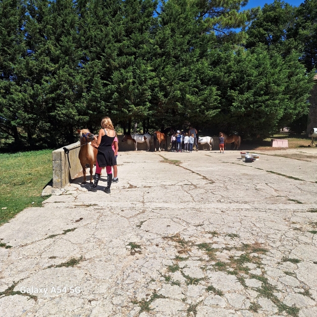  Prepara i pony prima di partire 