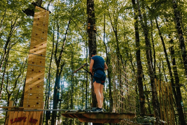  Tree climbing in Indre-et-Loire 