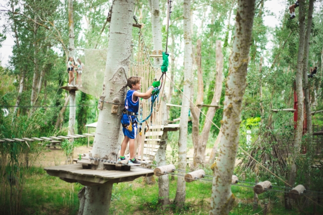  Tree climbing in Vendres in Hérault 