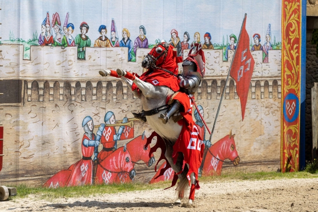 The spectacle of the knights 