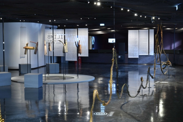 Les collections du musée 