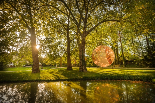 Profitez de la lumière de fin de journée dans les jardins