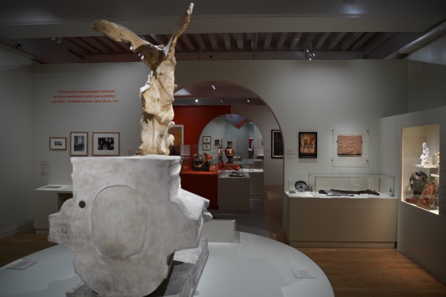  Scopri i 25.000 oggetti della collezione 