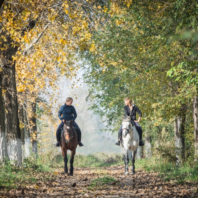 Capture memories of this horseback ride 