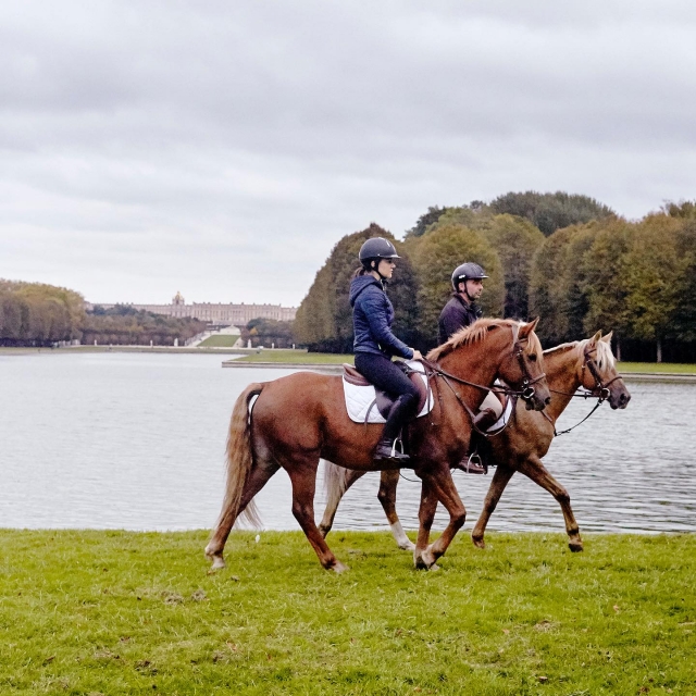  The horses are serene and kind 