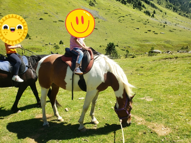  适合所有级别的骑行 