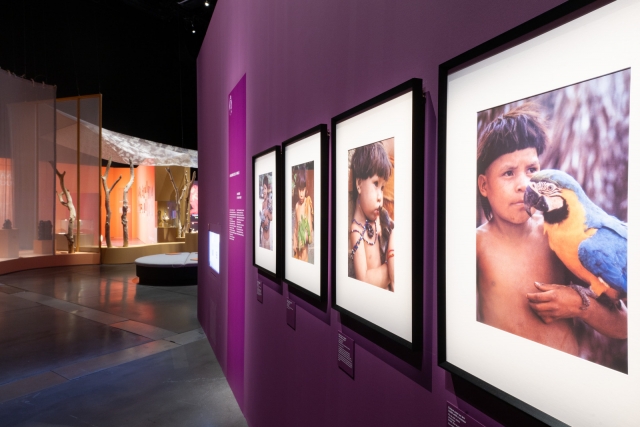  Spazieren Sie durch die Gänge des Museums 