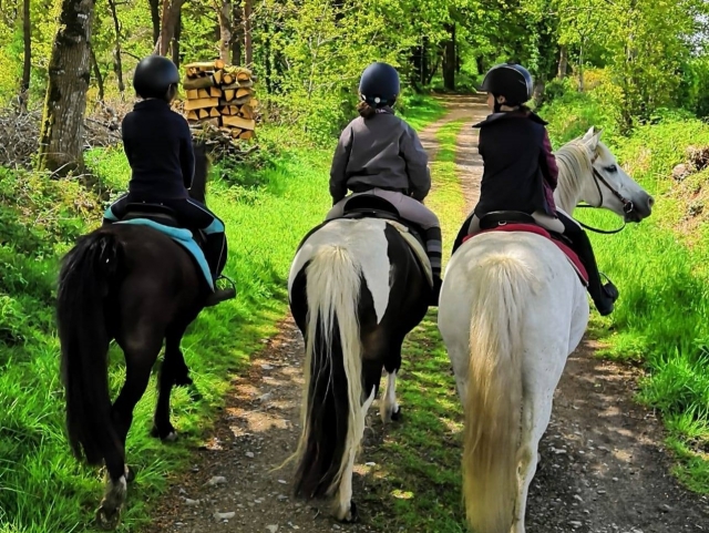 Profitez d'une balade à la Vallée du Trieu