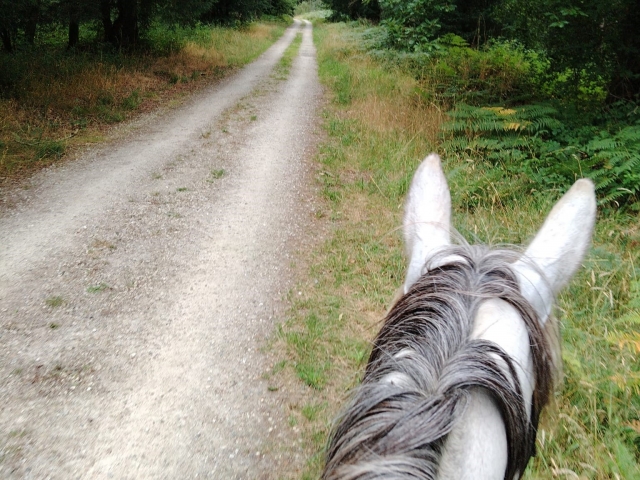 Profitez d'une balade à cheval à Saint-Adrien