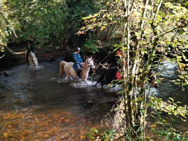 Traversez un ruisseau de la Vallée du Trieu