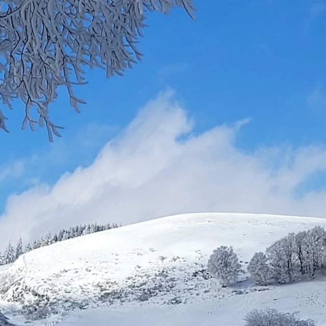 Explorez le Parc des Volcans d'Auvergne