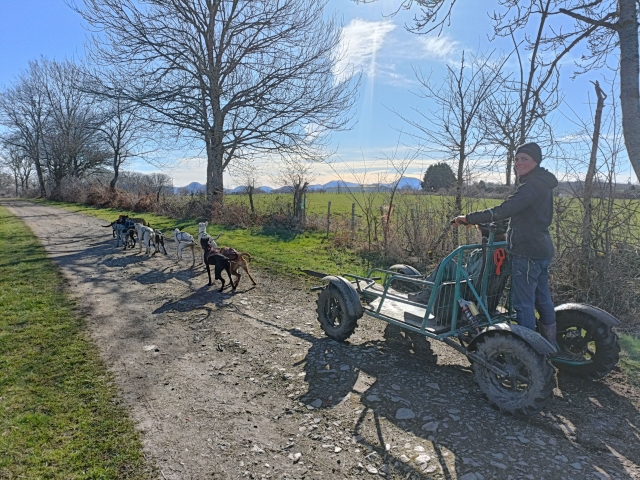  Erkundung des Vulkanparks der Auvergne 