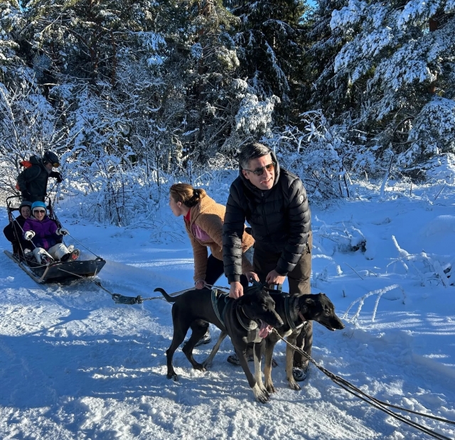 Chiens prêts pour la balade en traîneau