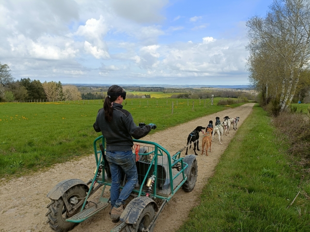  Schlittenfahrt durch die Châine des Puys 