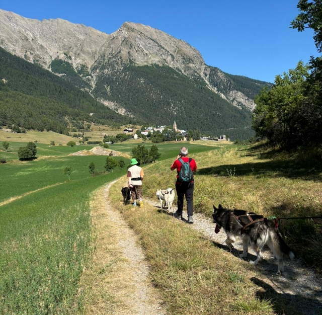 Genießen Sie ein Cani-Wandererlebnis in der Provence-Alpes-Côte d'Azur