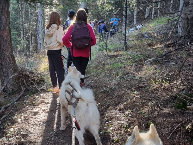  Paseo en cani-hike en Provenza-Alpes- Costa Azul