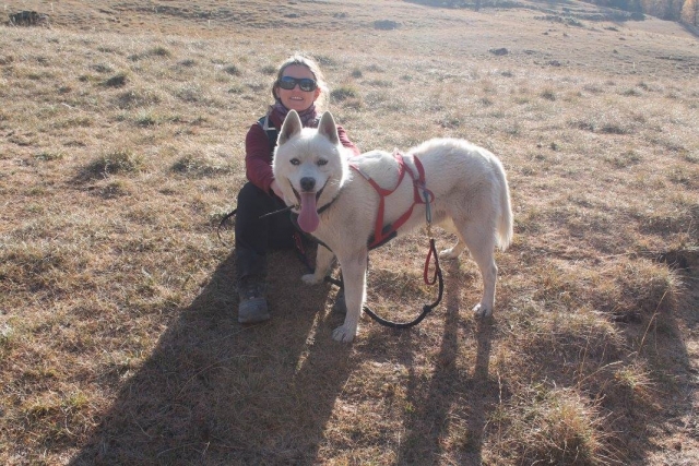 Disfruta del cani-hike en cochecito 