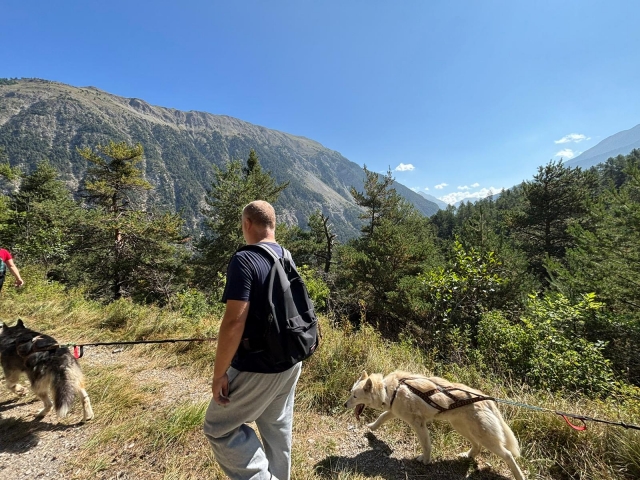 Experiencia de cani-hiking en el Valle de Ubaye 
