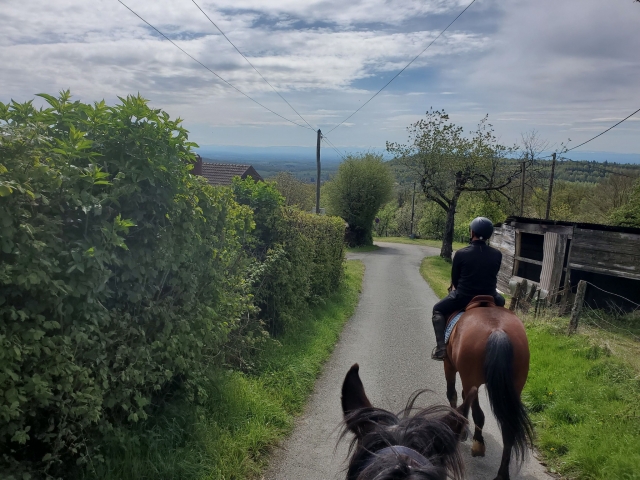  Disfrute de un paseo a caballo en el Territorio de Belfort 