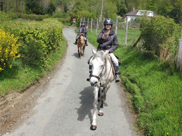  Paseos a caballo en el Territorio de Belfort 
