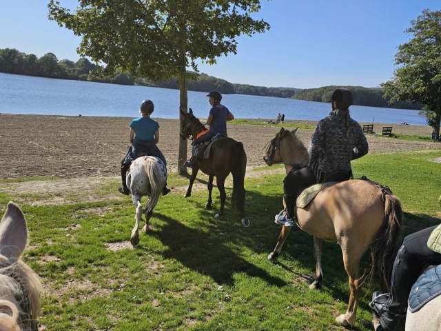  Paseos a caballo en Franco Condado 