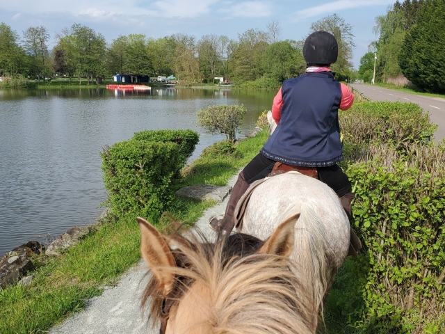 Paseos a caballo con amigos en Lachapelle-sous-Chaux