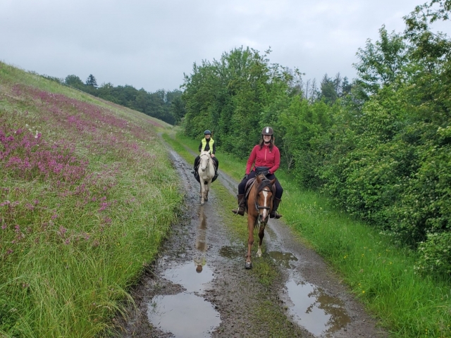  Disfruta montando a caballo 