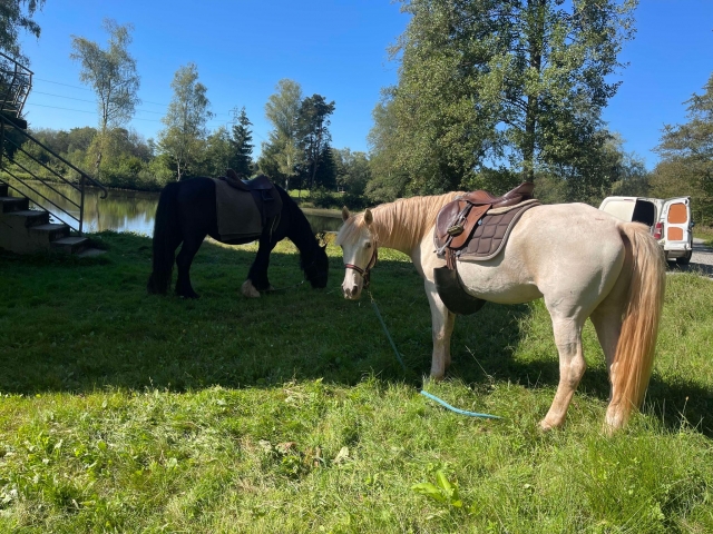  Montar a caballo en Franco Condado 