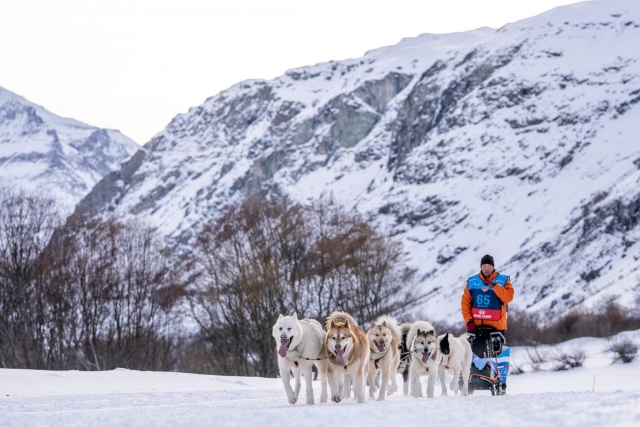 Mushing à Névache