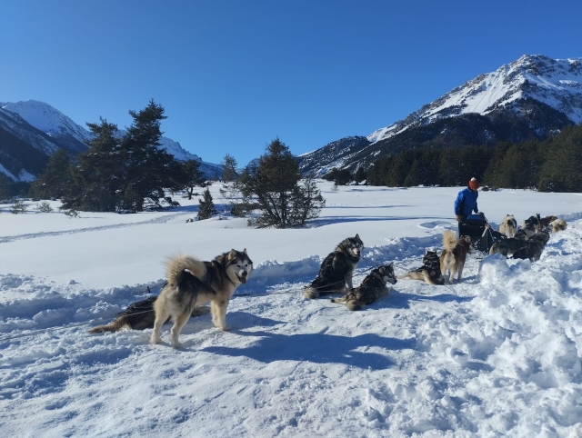 Vivez un baptême de mushing à Névache