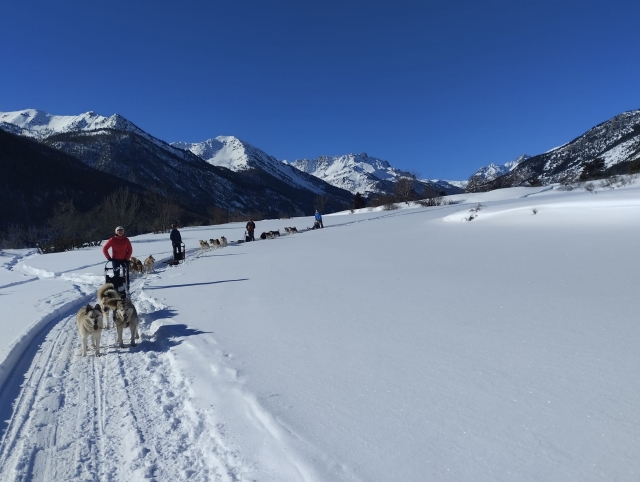 Explorez lors d'un mushing dans les Alpes françaises