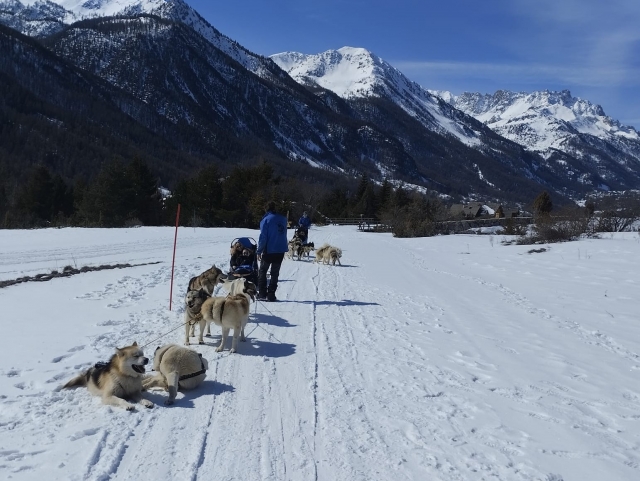  Explora Névache a bordo de un trineo 