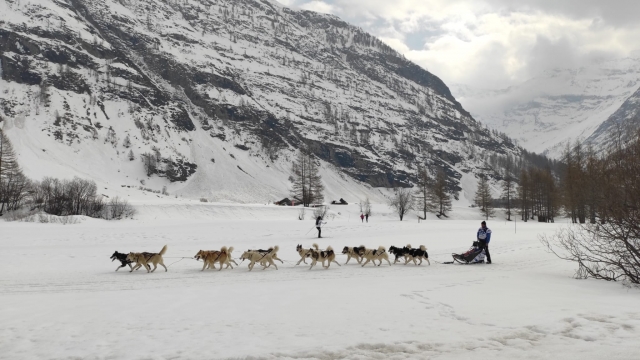 Conducir un trineo en los Alpes 