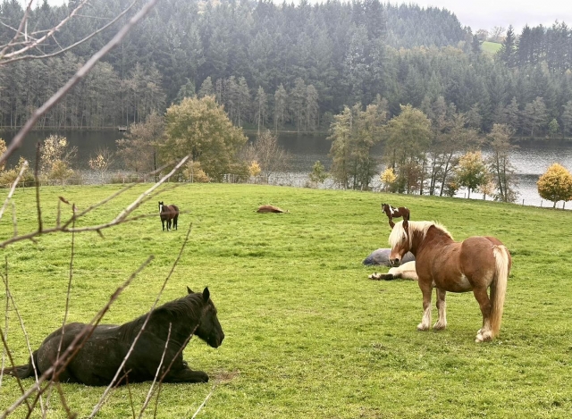 Un paesaggio naturale nel Rodano 