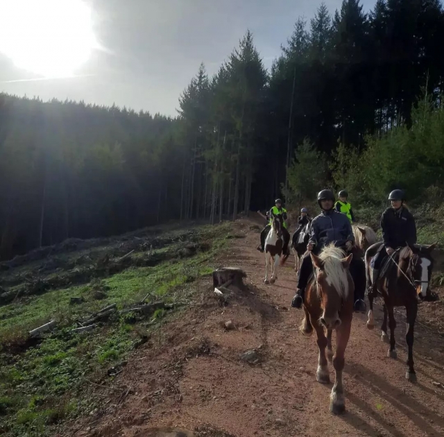  Passeggiata a cavallo a Cublize 