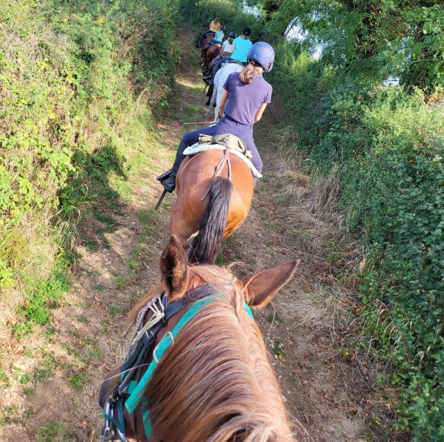  Disfrute de un paseo a caballo en Nochize 