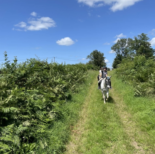  Paseos a caballo en el corazón del bocage Charolais 