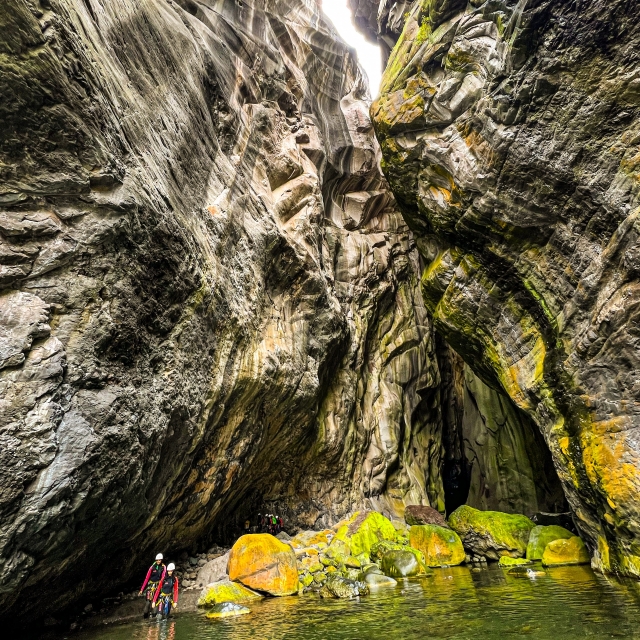 Buchen Sie Ihr aquatisches Abenteuer in Wiedervereinigung 
