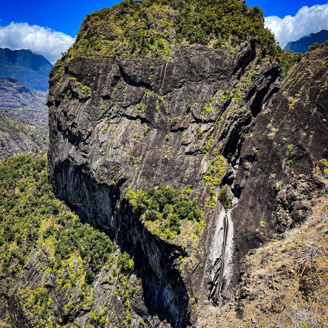  Die Canyon -gelbe Blume von außen 