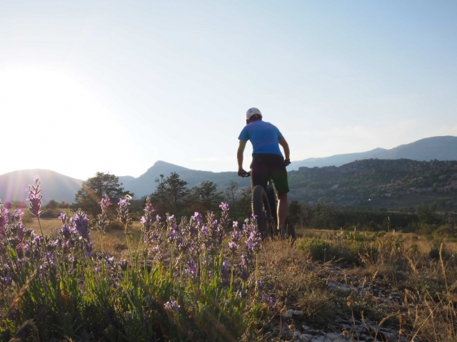  Circula de una manera 100 % ecológica 