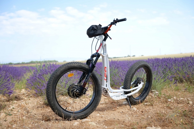 Reserve su paseo en e-Trott en Castellane 